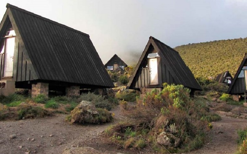 5 days marangu route